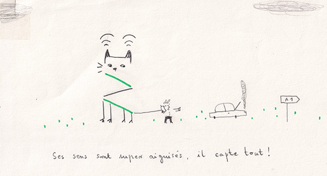 dessin au crayon d'un chat