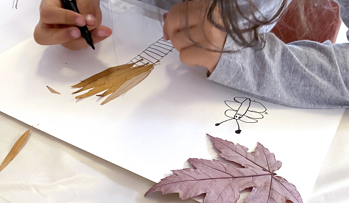 atelier dessin feuilles séchées