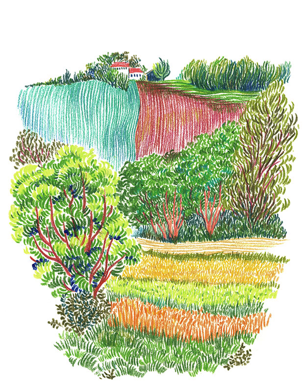 Illustration d'un paysage