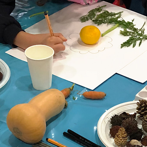 atelier dessins légumes de saison