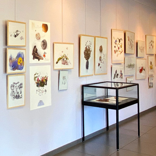 exposition d'illustrations